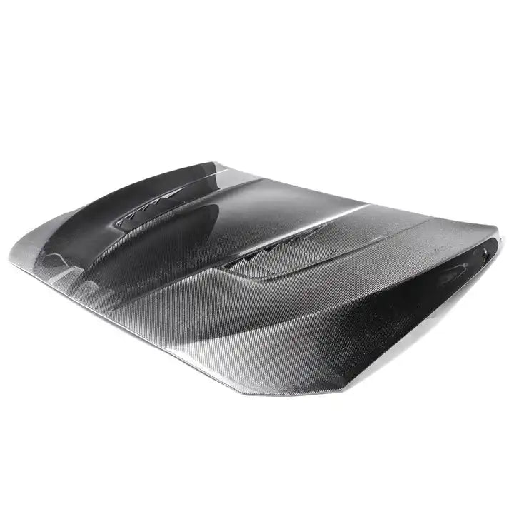 F10 M5 Carbon Fiber "GTS" Hood